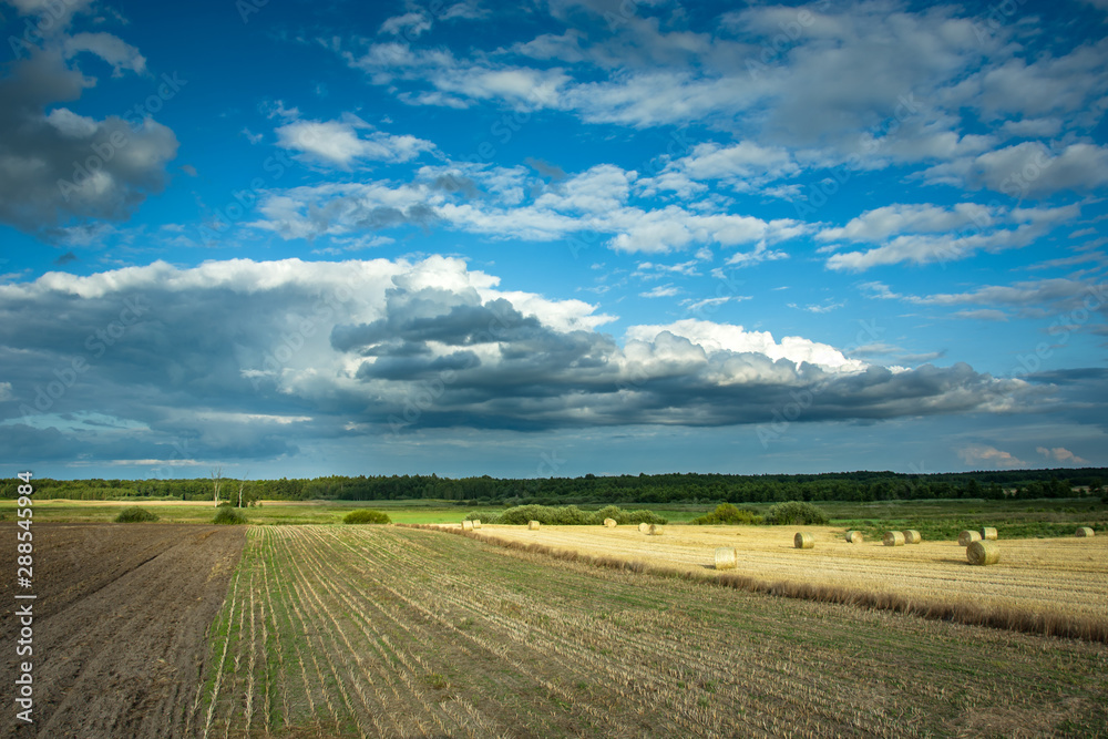 Cultivated fields in eastern Poland, horizon and clouds on the sky Cultivated fields in eastern Poland, horizon and clouds on the sky
