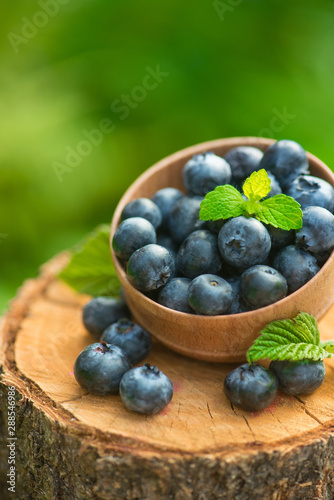 Fresh and natural blueberry with mint leaf on a stump green garden background