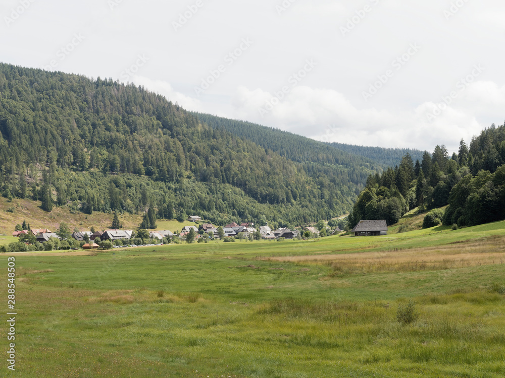Schwarzwaldlandschaft - Menzenschwand im Südschwarzwald, Ort im Naturpark Südhang des Feldberges und ein Teil der Stadt St. Blasien im Schwarzwald - Baden-Württemberg