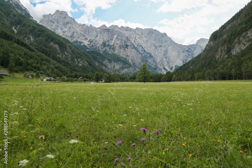 Beautifull Logar valley or Logarska dolina park, Slovenia, Europe. Inspiration travel under Kamnik-Savinja Alps. © 24K-Production