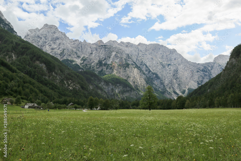 Beautifull Logar valley or Logarska dolina park, Slovenia, Europe. Inspiration travel under Kamnik-Savinja Alps.