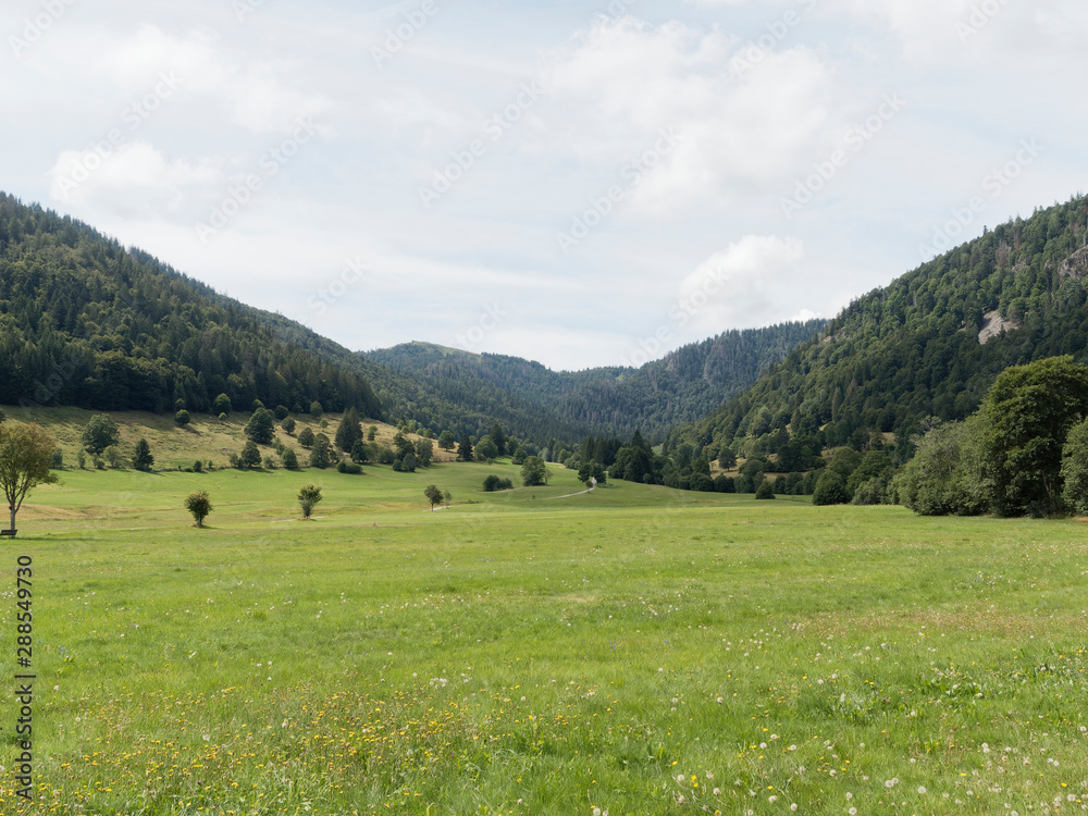 Schwarzwaldlandschaft - Menzenschwand im Südschwarzwald, Ort im Naturpark Südhang des Feldberges und ein Teil der Stadt St. Blasien im Schwarzwald - Baden-Württemberg