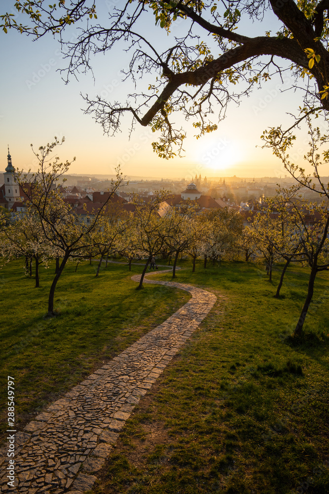 Prague park sunrise, Petrinske sady, trail sunrise Prague park sunrise, Petrinske sady, trail sunrise