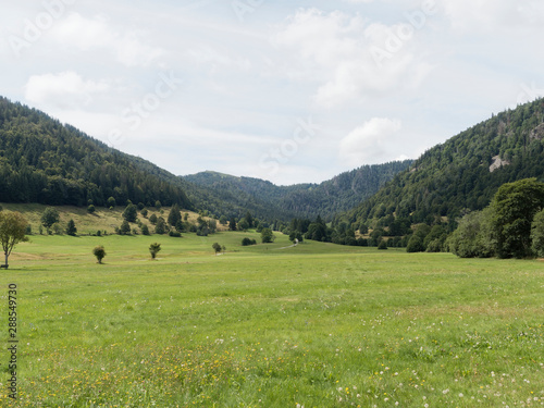 Schwarzwaldlandschaft - Menzenschwand im Südschwarzwald, Ort im Naturpark Südhang des Feldberges und ein Teil der Stadt St. Blasien im Schwarzwald - Baden-Württemberg