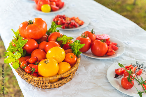 Freshly picked tomatoes, served on a plate on the table as decoration