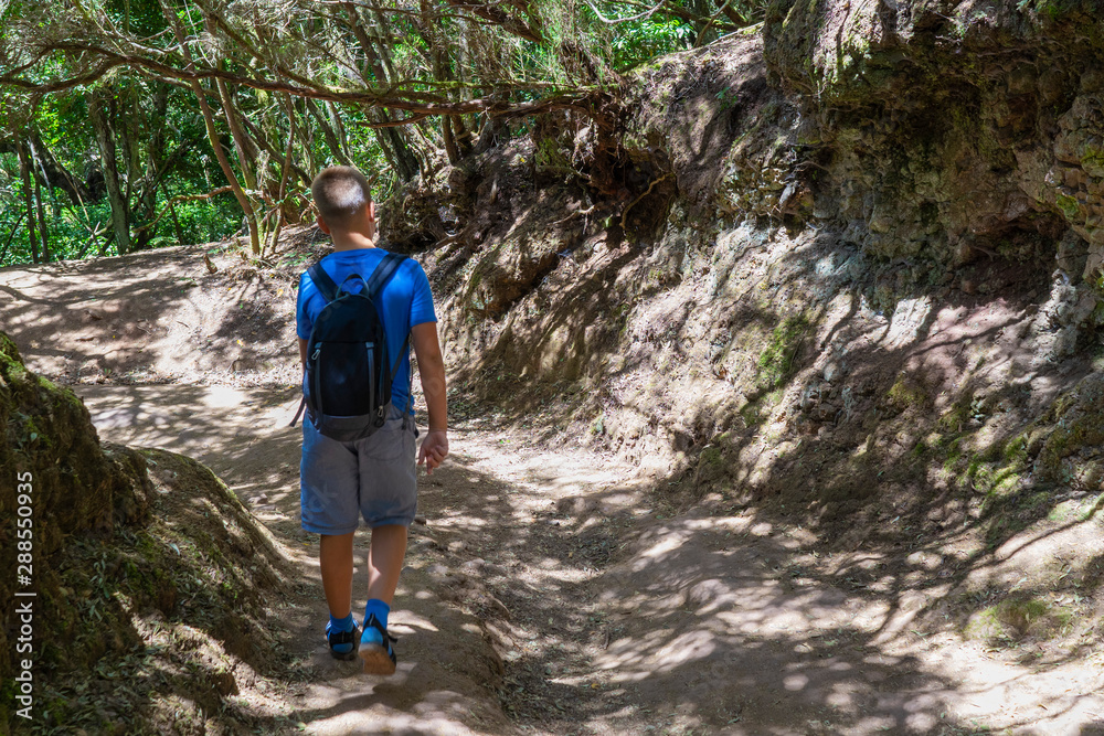 A teenager in a unique endemic mountain forest in Tenerife