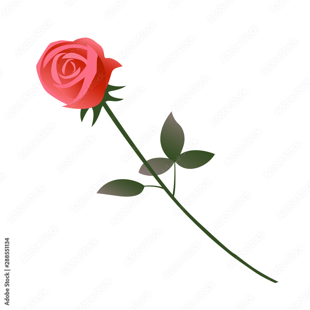 Obraz premium One beautiful red rose flower as a gift for a woman as a sign of love. Vector isolated illustration on a white background.