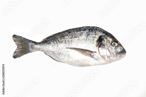 Fresh Dorado Fish isolated on white background. View from above.