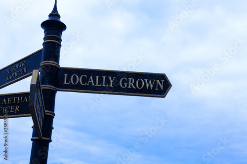 Text sign showing Locally Grown. Business photo text Produced Agricultural Countryside Fresh Vegetables Road sign on the crossroads with blue cloudy sky in the background