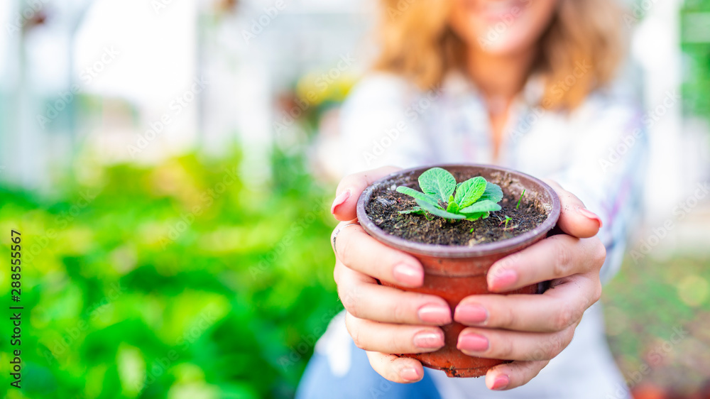 Φωτογραφία Worker of a Garden Center Holding a Potted Plant Greenhouse flower seedlings