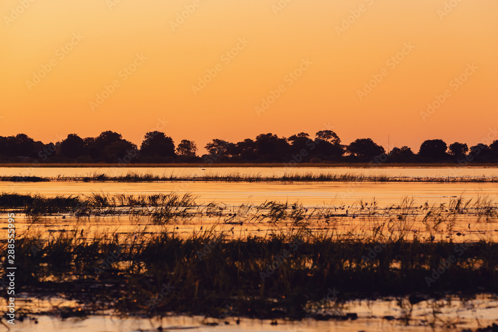 sunset on Chobe river, Chobe national park, Botswana, Africa wilderness