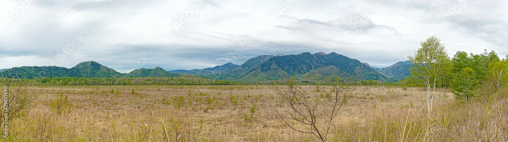 Obraz premium 戦場ヶ原 春景色