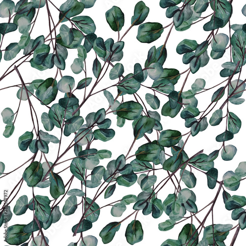Watercolor seamless pattern with eucalyptus branches. Hand painted floral pattern.