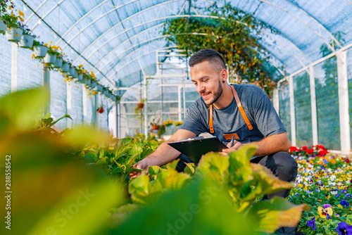 Wallpaper Mural Happy male nursery worker trimming plants in greenhouse Torontodigital.ca