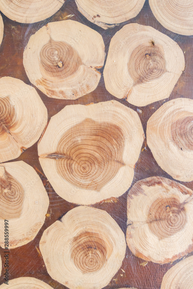 Obraz premium Wooden texture of the table top for cooking with a pattern of round logs