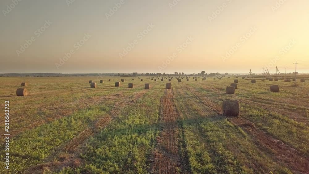 Harvesting, Flying Over The Cleared Field. Aerial shot, Combine ...