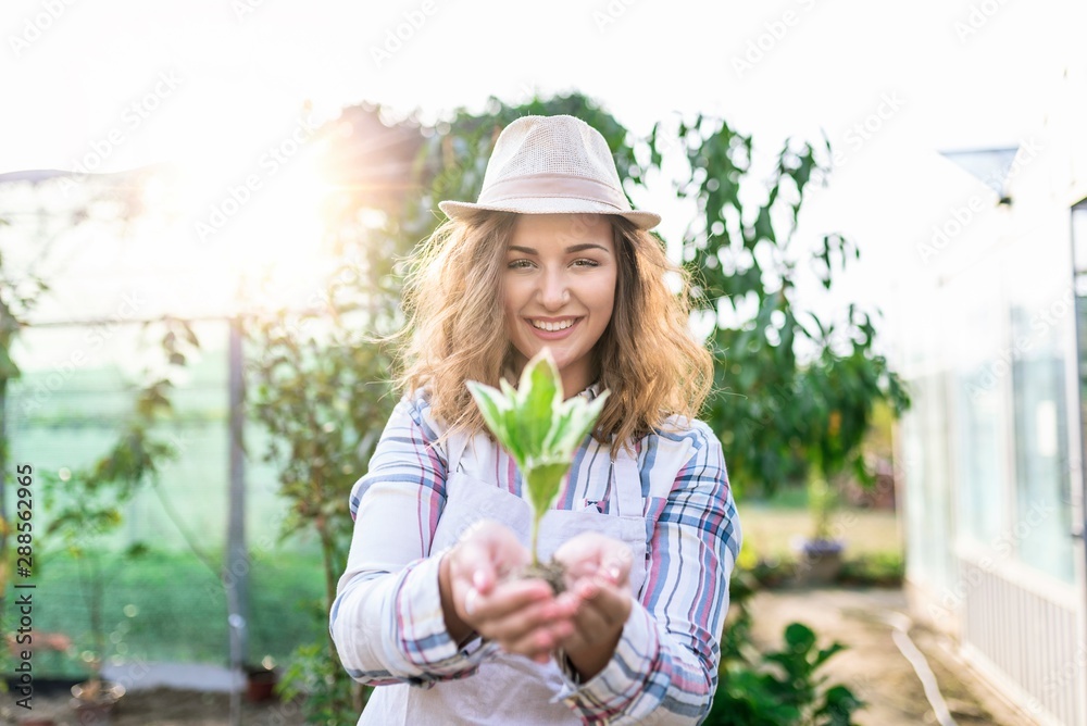 Girl hand are holding the sapling on the soil