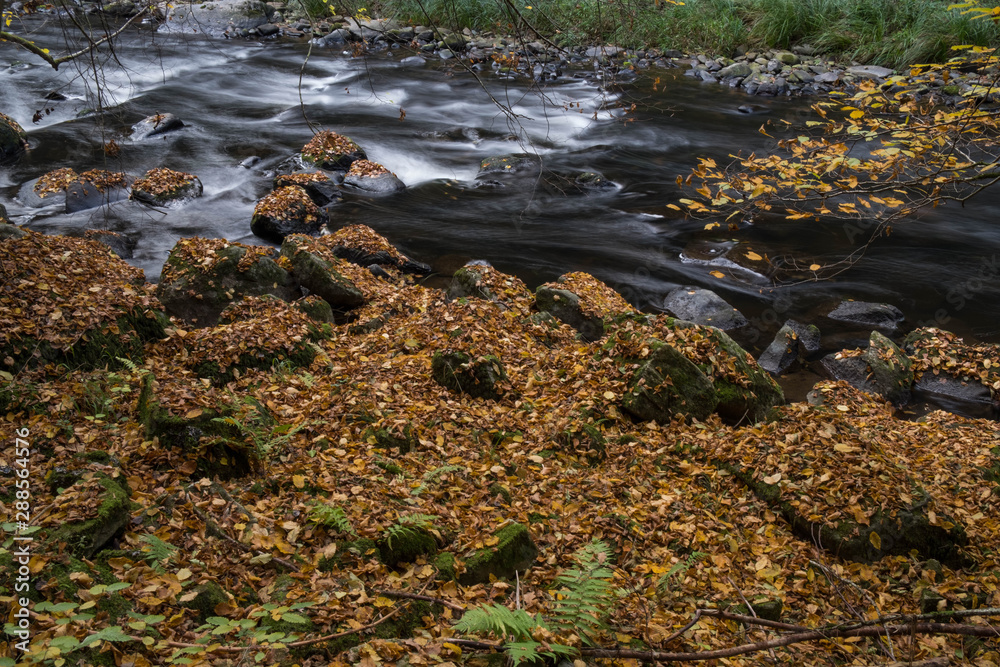 Herbst Herbst