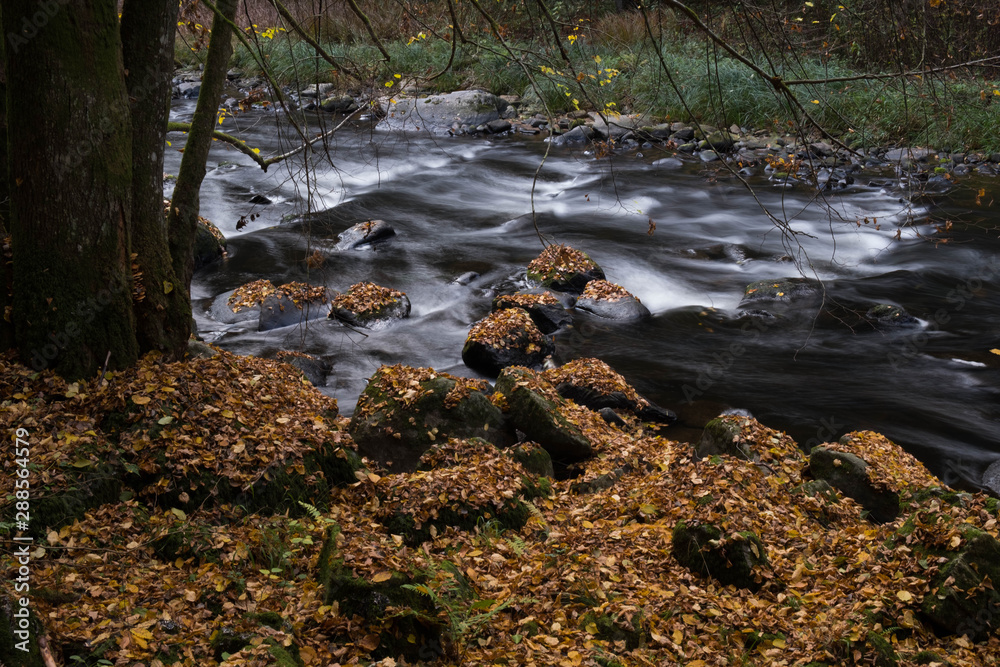 Herbst Herbst