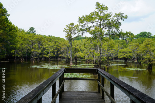 Pier at Caddo Lake State Park in Texas during summer