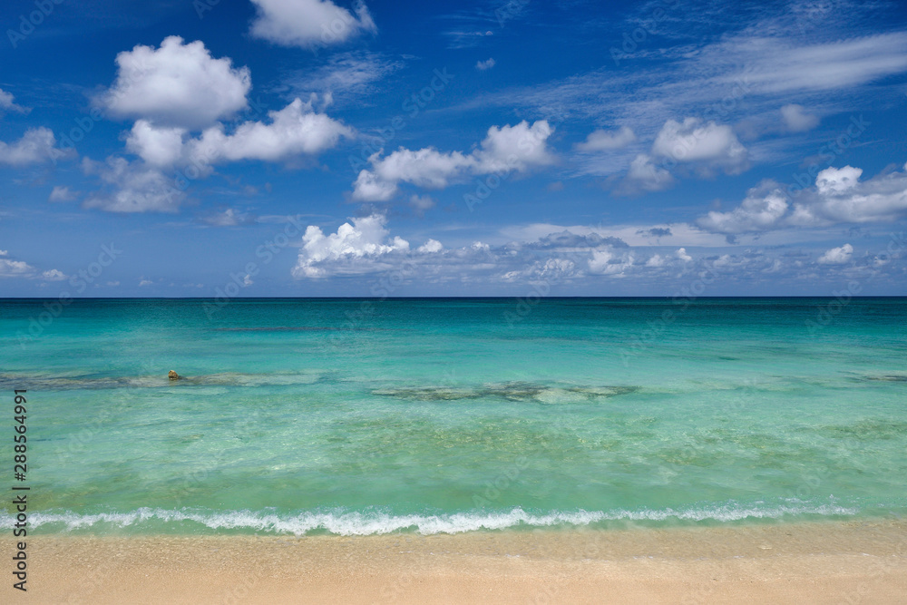 Fototapeta premium Crystal clear waters and pinkish sands on empty seven mile beach on tropical carribean Grand Cayman Island