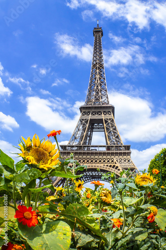 Eiffel Tower with sun and sun flowers