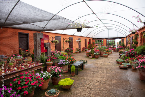 Interior of a wide greenhouse with sale of plants and flowers in spring in Brazil