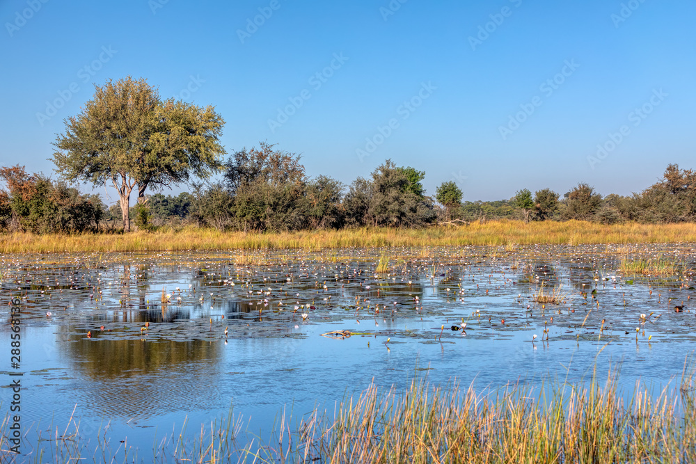 typical African landscape, Bwabwata, Namibia