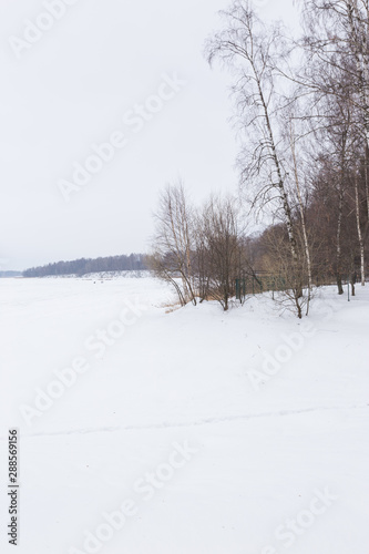 Winter landscape in Russia, Istra lake and trees