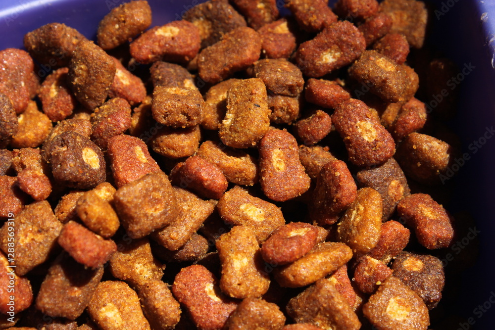 Fototapeta premium Dried food