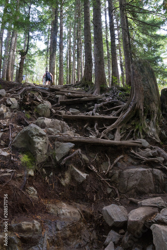 frog perspective view on grouse grind trail in north Vancouver, Canada