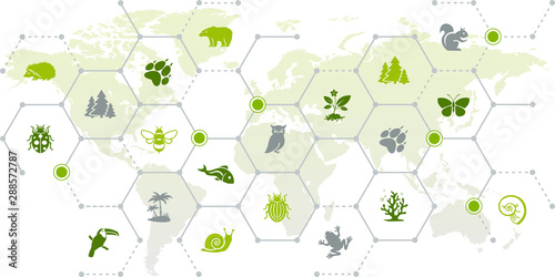 international wildlife / biodiversity icon concept – endangered animals icons with world map, vector illustration