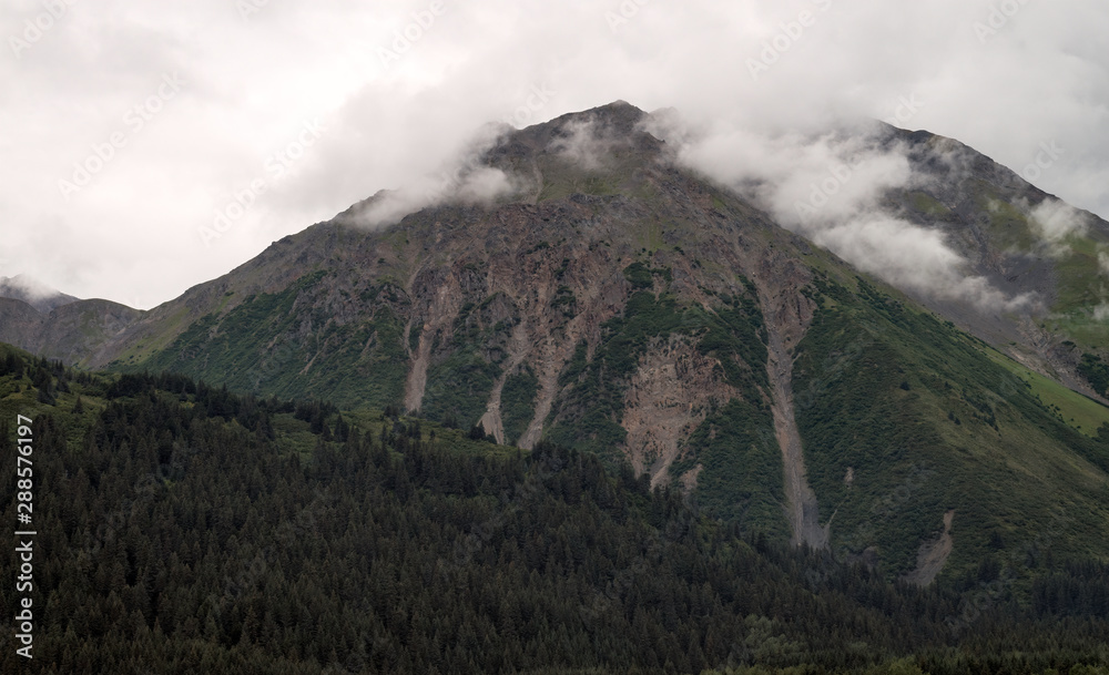 Cloud and pine tree covered mountain in Alaska Cloud and pine tree covered mountain in Alaska