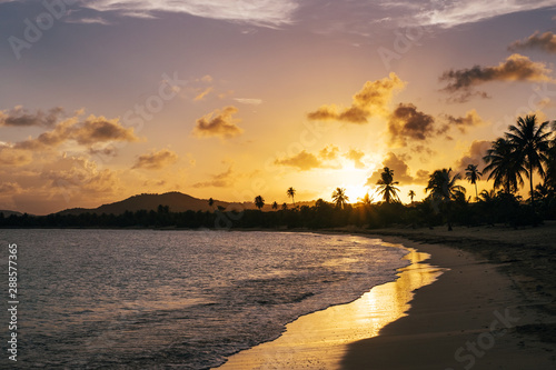 Vieques island beach shore with palm trees and setting sun in Puerto Rico photo