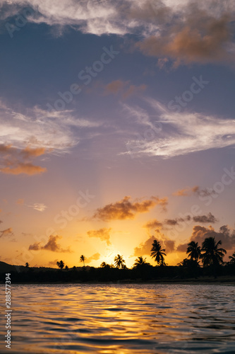 View from in the water looking back at Vieques island beach shore with palm trees and setting sun in Puerto Rico