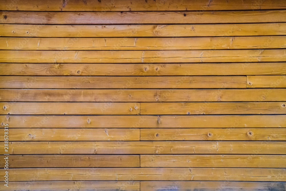 Obraz premium Pine wood wall to use as background.