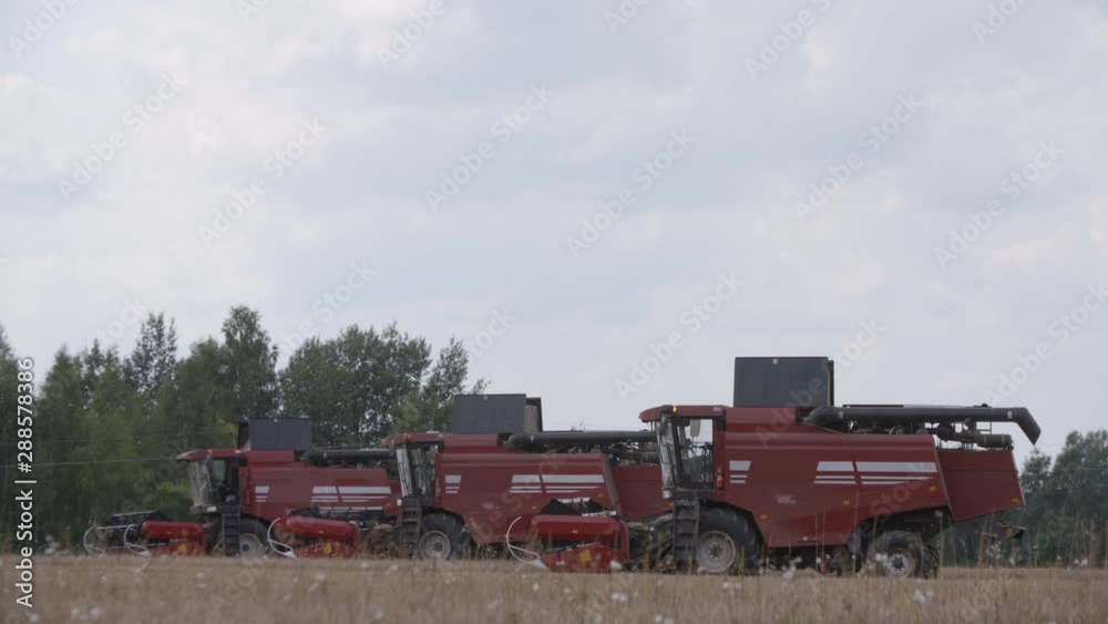 Harvester machines in wheat field. Red combines ready to work. Agriculture food production