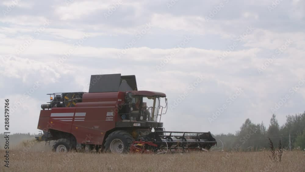 Farmer on harvester machine cuts wheat crop in field. Red combine harvesting, collects ripe wheat grains. Agriculture food production. Slow motion close up shot Farmer on harvester machine cuts wheat crop in field. Red combine harvesting, collects ripe wheat grains. Agriculture food production. Slow motion close up shot