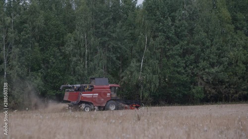 Wallpaper Mural Farmer on combine cuts wheat crop in field. Red harvester machine harvesting, collects ripe wheat grains. Agriculture food production. Slow motion close up shot Torontodigital.ca