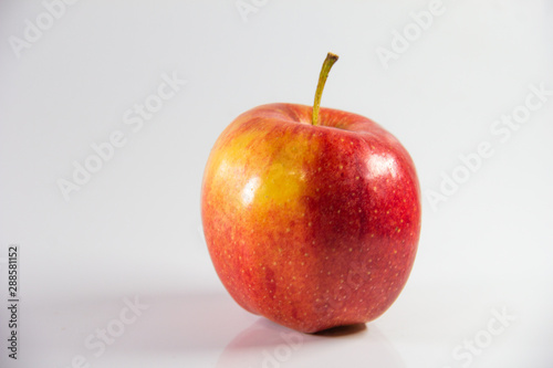 manzana gala