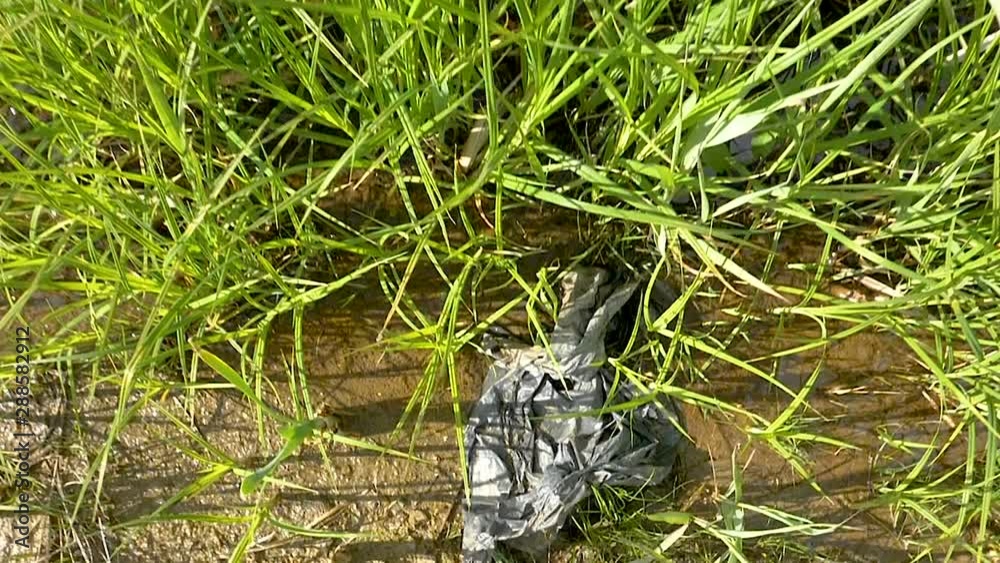 24277_The_black_plastic_bag_on_the_mud_part_of_the_forest.mov