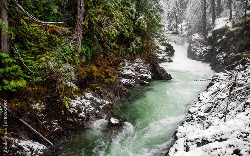 Little Qualicum Falls. Vancouver Island, British Columbia, Canada. photo