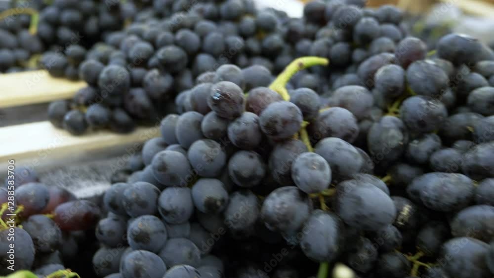 Grapes in boxes at the grocery store counter. Grapes in boxes at the grocery store counter.