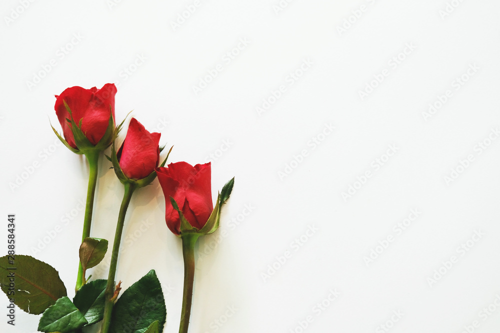 bouquet of red roses in vase isolated on white