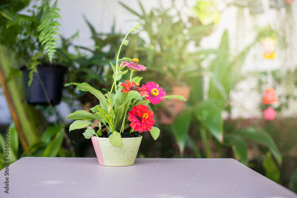 Flower vases colorful are placed on a white table and warm light shines in side view. Flower vases colorful are placed on a white table and warm light shines in side view.