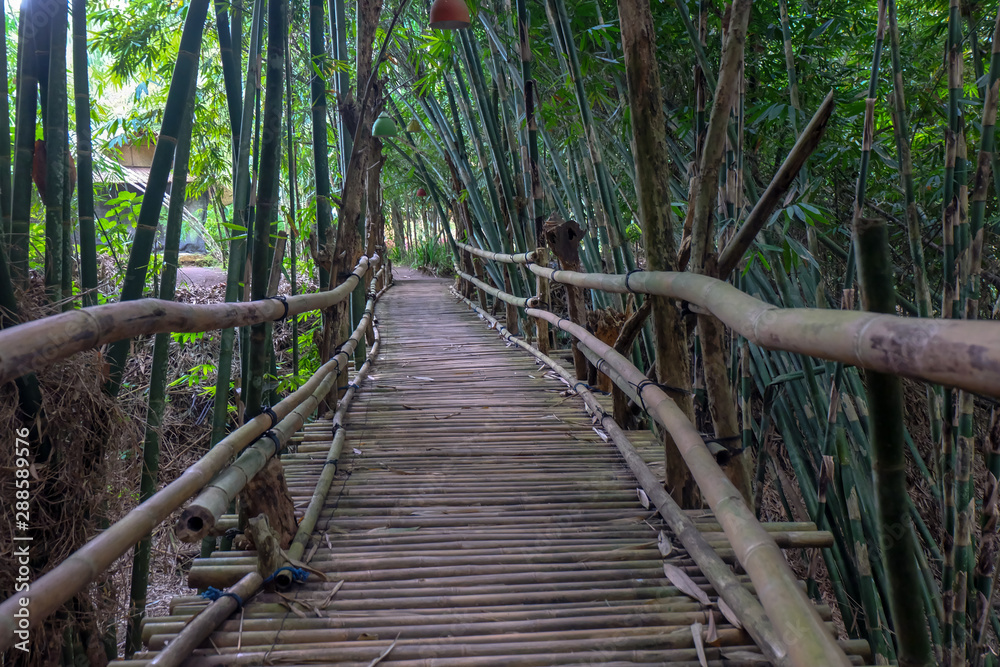 Fototapeta premium Bamboo Bridge in bamboo forest