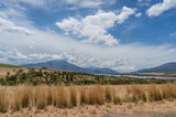 Arid landscape with dry grass and mountains in the distance