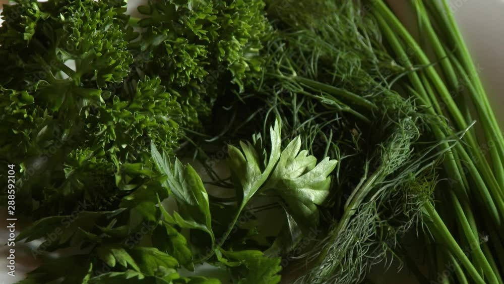 Steady, extreme close up shot of fresh rosemary, parsley, dill and chives.