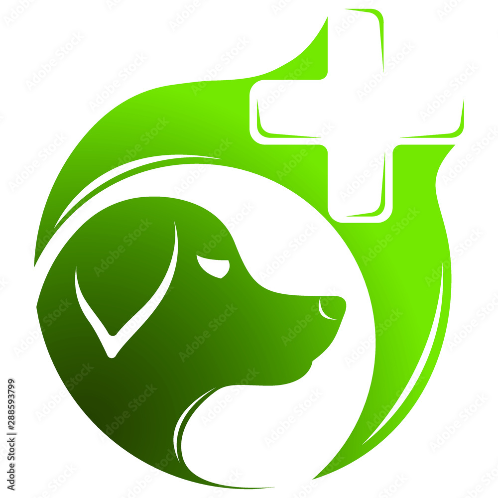 Veterinary clinic,doctor with dog vector line icon, linear concept, outline  sign, symbol Stock Vector Image & Art - Alamy