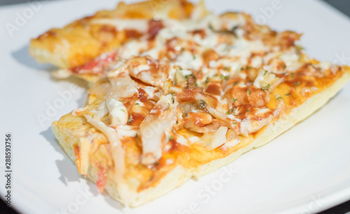 Photos of pizza on a macro white plate.